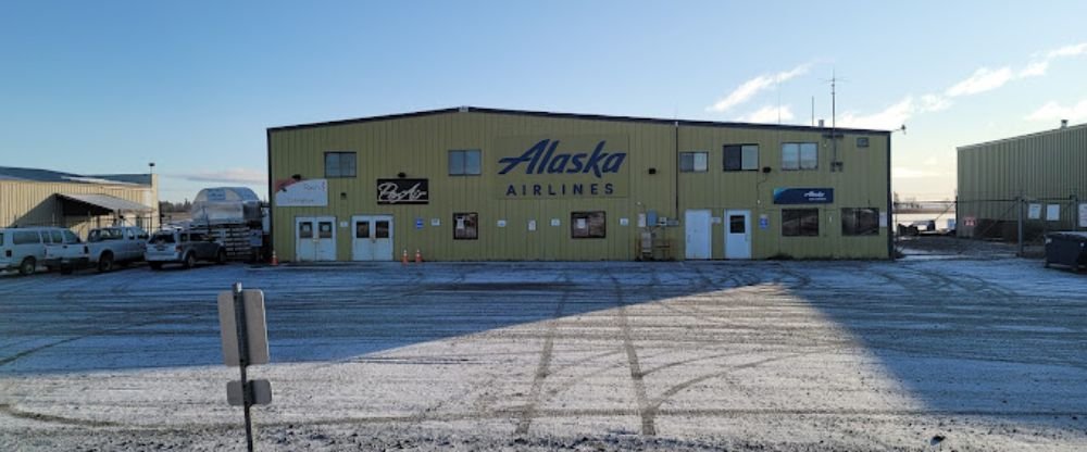 Dillingham Airport